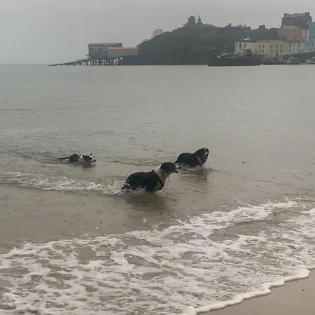 Tenby 2 Bed Flat With Parking, Plus Pet Exterior photo