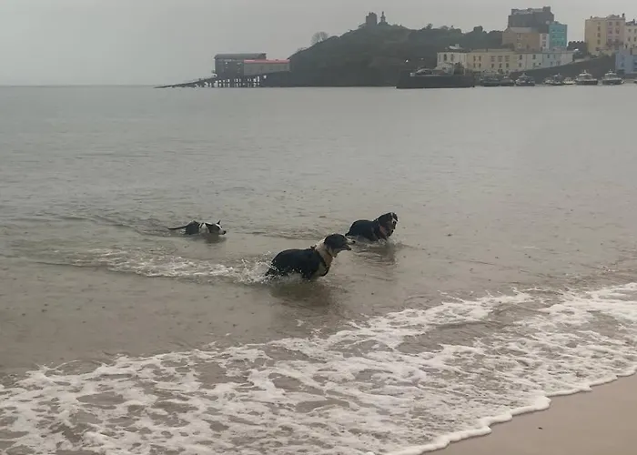 Tenby 2 Bed Flat With Parking, Plus Pet